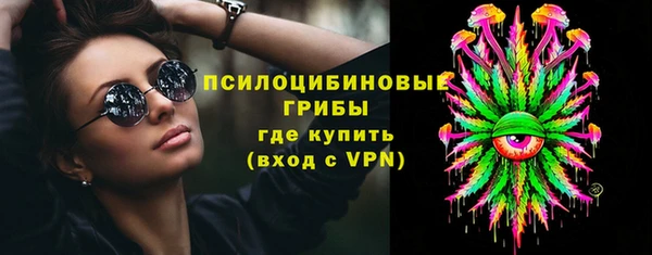 шишки Арсеньев