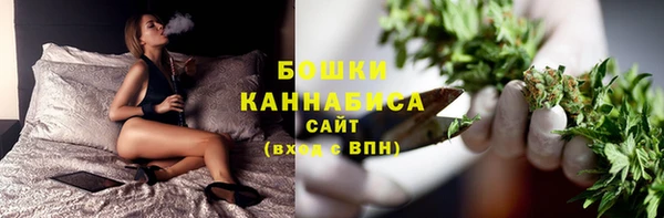 шишки Арсеньев