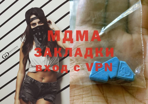 шишки Арсеньев